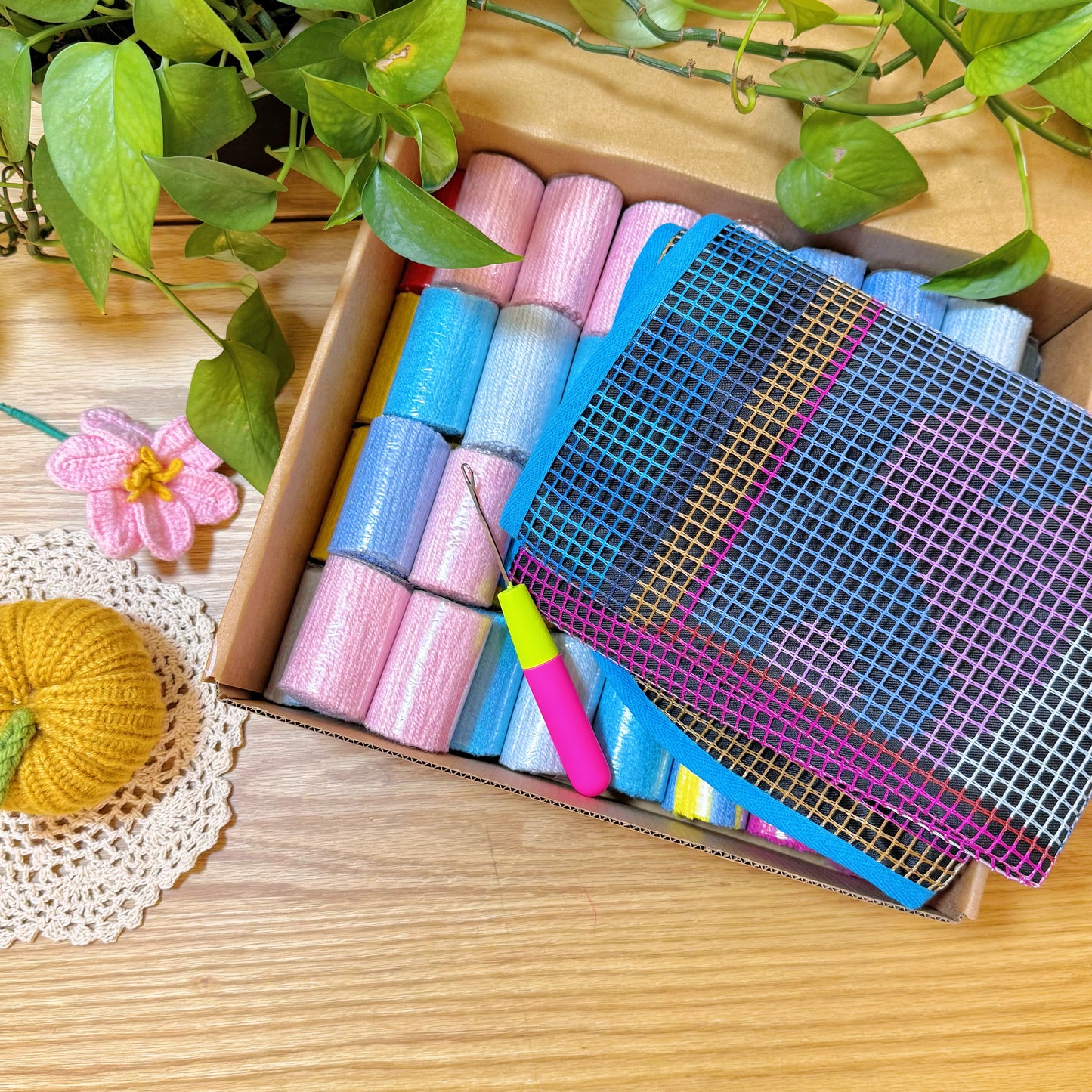 Unboxing Sardine Delight latch hook kit with colorful yarn, mesh canvas, and latch hook tool