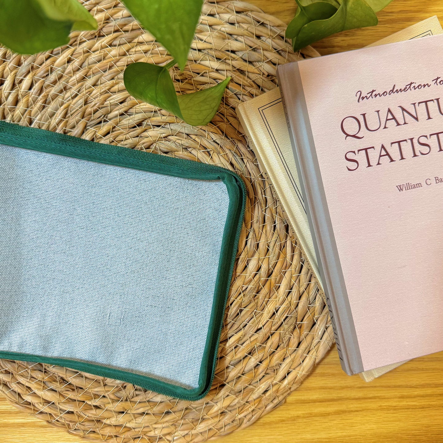 Backside of the Butterfly Garden Half-Stitch Kit pouch, plain light blue fabric with green edges.